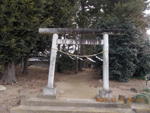 埼玉県深谷市本郷1525 藤田神社の写真3