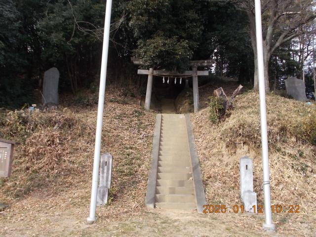 埼玉県深谷市今泉51 浅間大神社の写真2