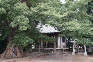 白鬚神社の参拝記録(thonglor17さん)