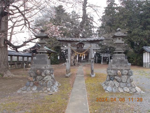 埼玉県深谷市岡1324 白鬚神社の写真2