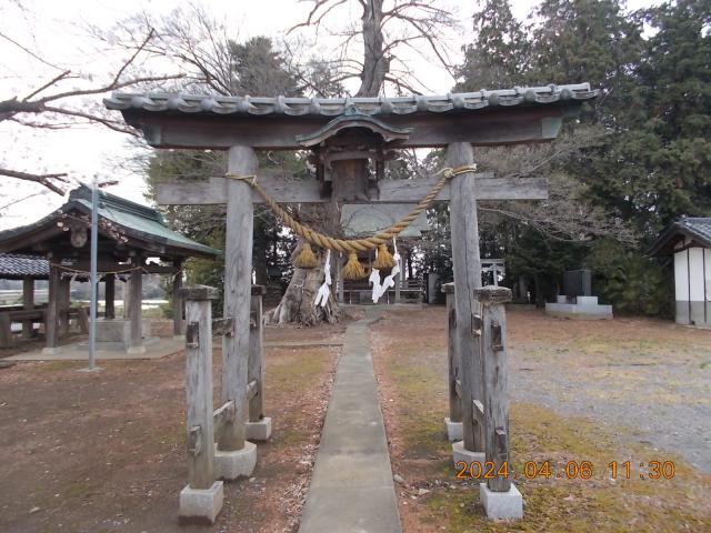 埼玉県深谷市岡1324 白鬚神社の写真3