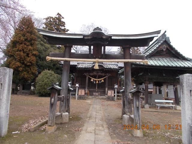 埼玉県深谷市榛沢1246-2 大寄八幡大神社の写真3