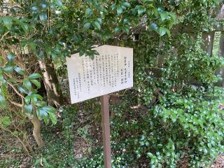 忍諏訪神社の参拝記録(スエさん)