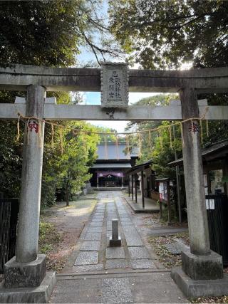忍東照宮の参拝記録(せきちゃんさん)