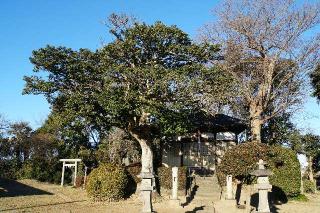 護郷神社の参拝記録(thonglor17さん)