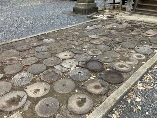 稲荷神社の参拝記録(レモンサワーさん)