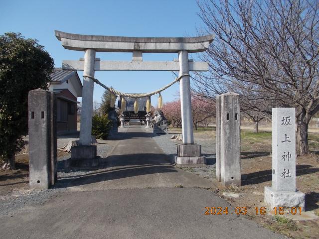 埼玉県深谷市本田4898-1 坂上神社の写真2
