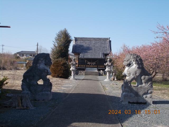 埼玉県深谷市本田4898-1 坂上神社の写真3