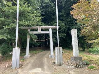 兒泉神社の参拝記録(レモンサワーさん)