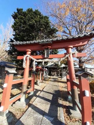石神井神社の参拝記録(そいたまさん)