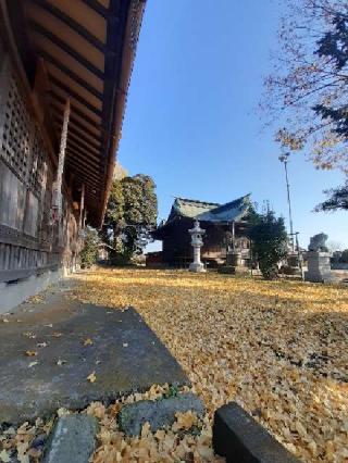 石神井神社の参拝記録(そいたまさん)