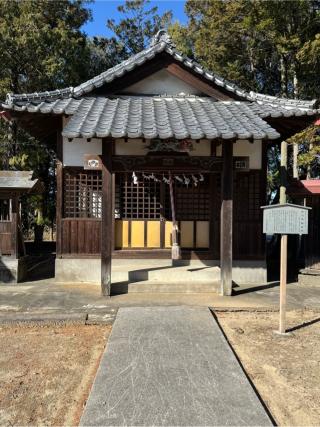 琴平神社の参拝記録(こーちんさん)