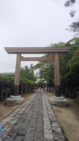 久伊豆神社(川柳町)の参拝記録(カビジジイさん)