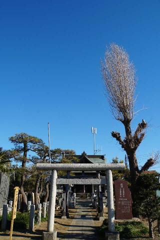 中島稲荷神社の参拝記録(thonglor17さん)