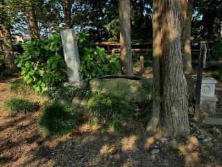 角折神社の参拝記録(飛成さん)