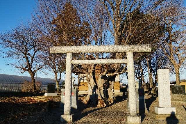 智方神社の参拝記録4