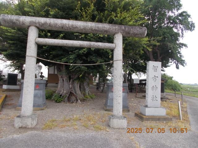 埼玉県本庄市小島179 智方神社の写真2