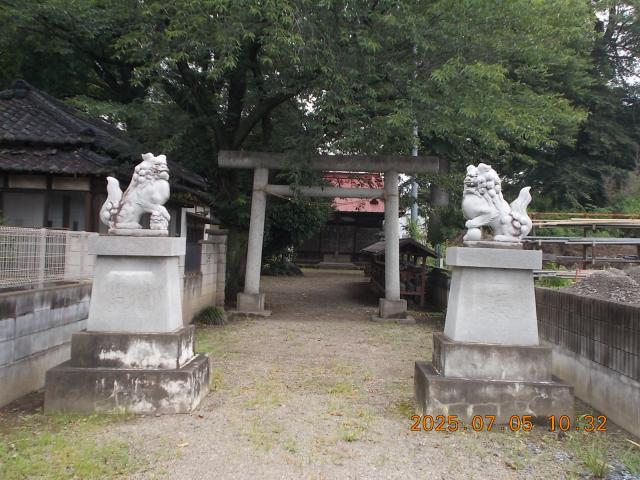 埼玉県本庄市沼和田926 飯玉神社の写真2