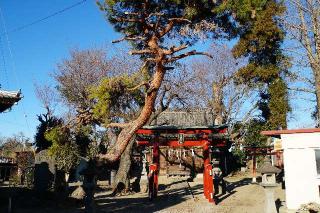 日枝神社の参拝記録(thonglor17さん)
