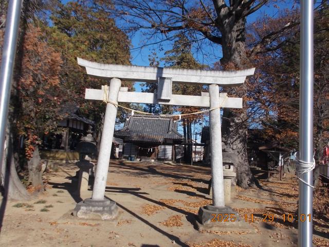 埼玉県本庄市栄3丁目400 金鑽神社の写真2