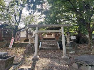 種池神社の参拝記録(さとみさん)
