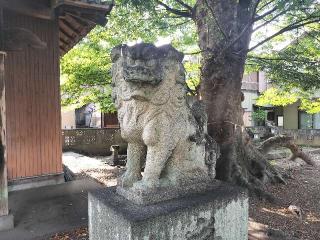 種池神社の参拝記録(さとみさん)