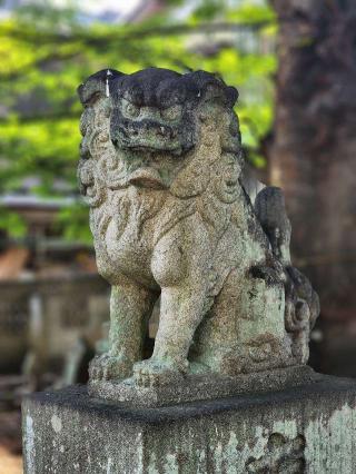 種池神社の参拝記録(たけちゃ～ん⚾さん)