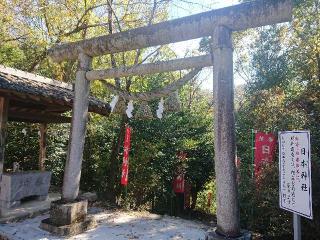 日本神社の参拝記録(🐺⛩️🐺さん)