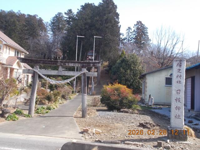 埼玉県本庄市児玉町吉田林字山王山925 日枝神社の写真3