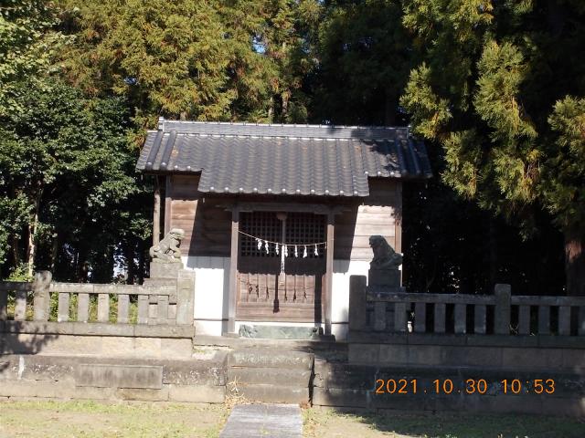 埼玉県羽生市上岩瀬632 御霊神社の写真3