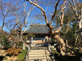 西光寺の参拝記録(えのさんさん)