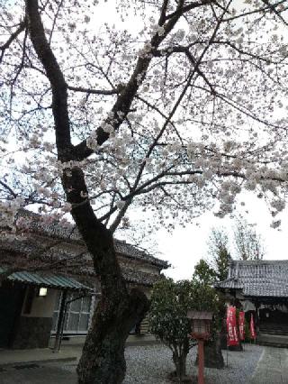 大天白神社の参拝記録(zx14rさん)