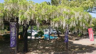 大天白神社の参拝記録(ロビンさん)