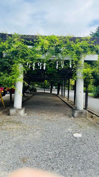 大天白神社の参拝記録(ckさん)