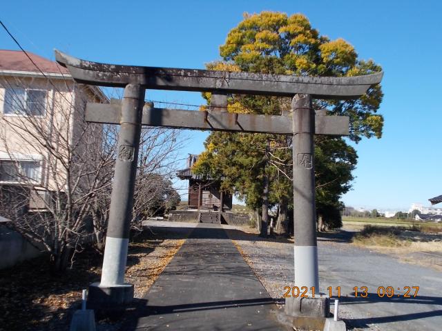 埼玉県羽生市中手子林1069 八幡神社の写真2
