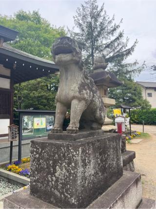 登渡神社の参拝記録(⛩️🐍🐢まめ🐢🐍⛩️さん)