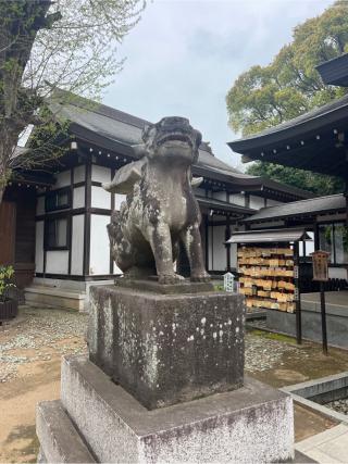 登渡神社の参拝記録(⛩️🐍🐢まめ🐢🐍⛩️さん)