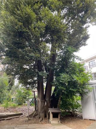 浅間神社の参拝記録(ねこチャリさん)
