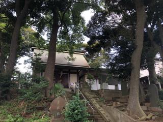 浅間神社の参拝記録(コバルトブルーさん)