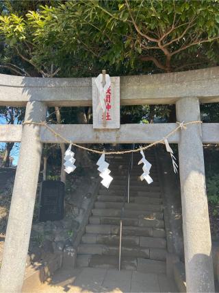 浅間神社の参拝記録(⛩️🐍🐢まめ🐢🐍⛩️さん)