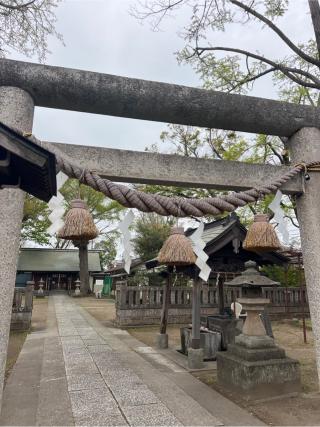 蘇我比咩神社の参拝記録(⛩️🐍🐢まめ🐢🐍⛩️さん)