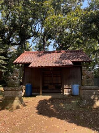 日枝神社の参拝記録(ねこチャリさん)