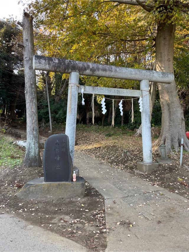 大宮神社の参拝記録4