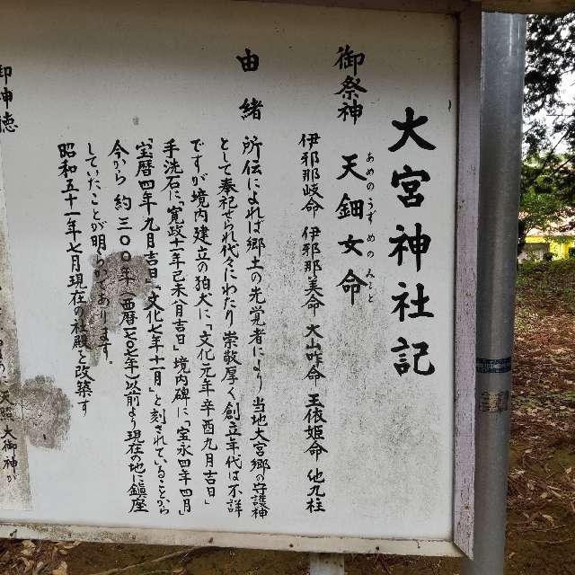 大宮神社の参拝記録1