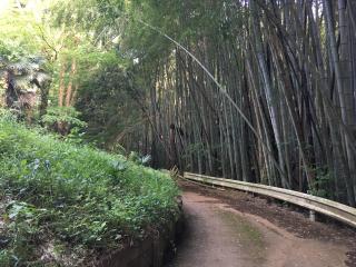 大宮神社の参拝記録(明介さん)