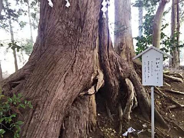 千葉県千葉市若葉区金親町28番地 大宮神社の写真4