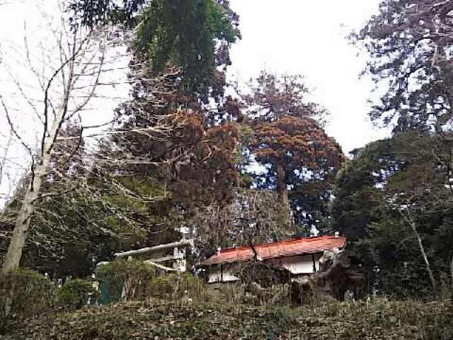 大宮神社の参拝記録3