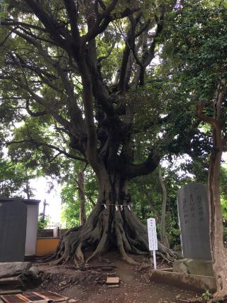 熊野神社の参拝記録(明介さん)
