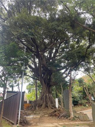 熊野神社の参拝記録(ねこチャリさん)