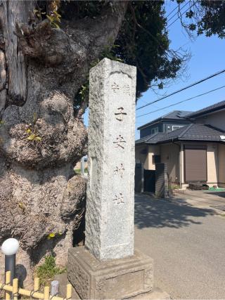 子安神社の参拝記録(⛩️🐍🐢まめ🐢🐍⛩️さん)